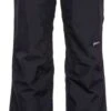 686 Ladies GORE-TEX Willow Insulated Pants 2022-2023